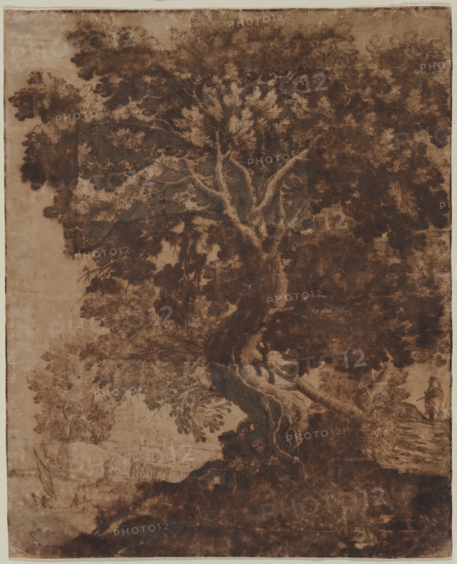 Tree in a Landscape, mid 17th century. Creator: Ercole Bazicaluva (Italian, c. 1610-1661).