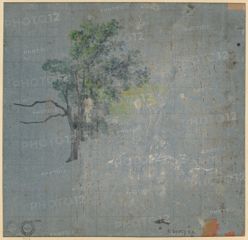Tree Studies, first half 1800s. Creator: Johann Jacob Dorner (German, 1775-1852).
