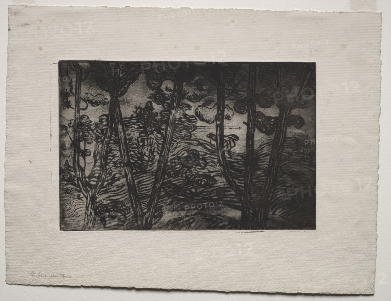 Trees at Night, c. 1894. Creator: Armand Séguin (French, 1869-1903).