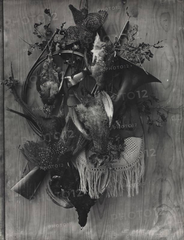 Trophy of the Hunt, c. 1867. Creator: Adolphe Braun (French, 1812-1877).