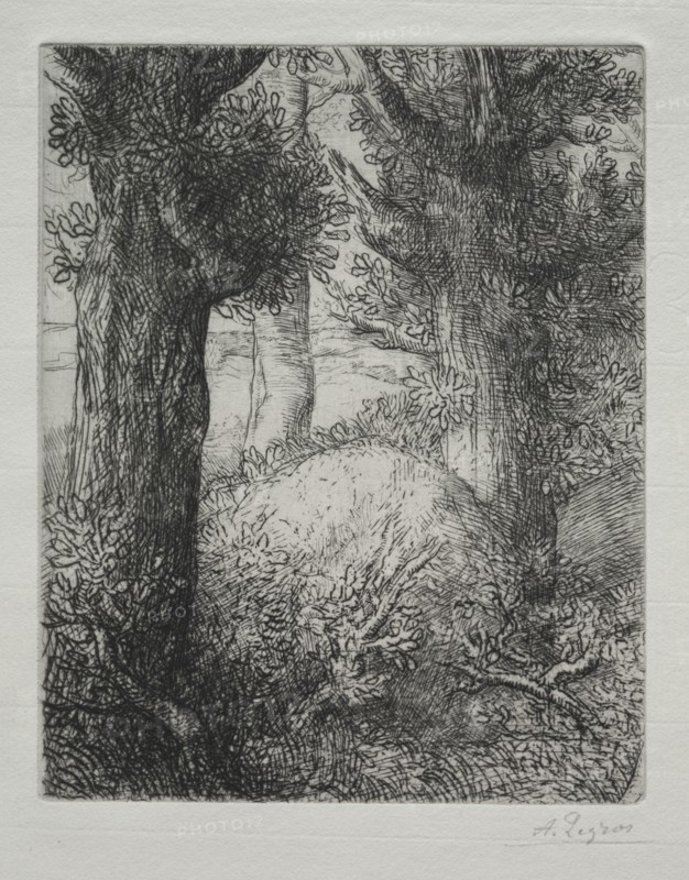 Tumulus gaulois. Creator: Alphonse Legros (French, 1837-1911).