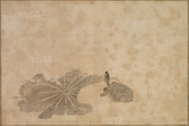 Turtle in a Lotus Pond, 18th century. Creator: Unknown.