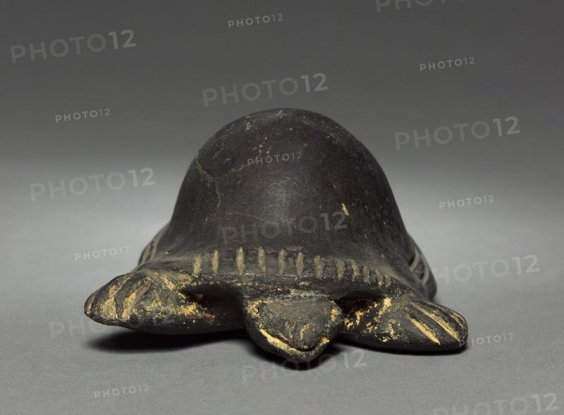 Turtle, before 1921. Creator: Unknown.