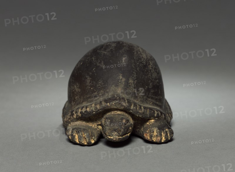 Turtle, before 1921. Creator: Unknown.