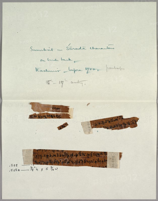 Two Fragments of Bark with Sanskrit, before 1700. Creator: Unknown.
