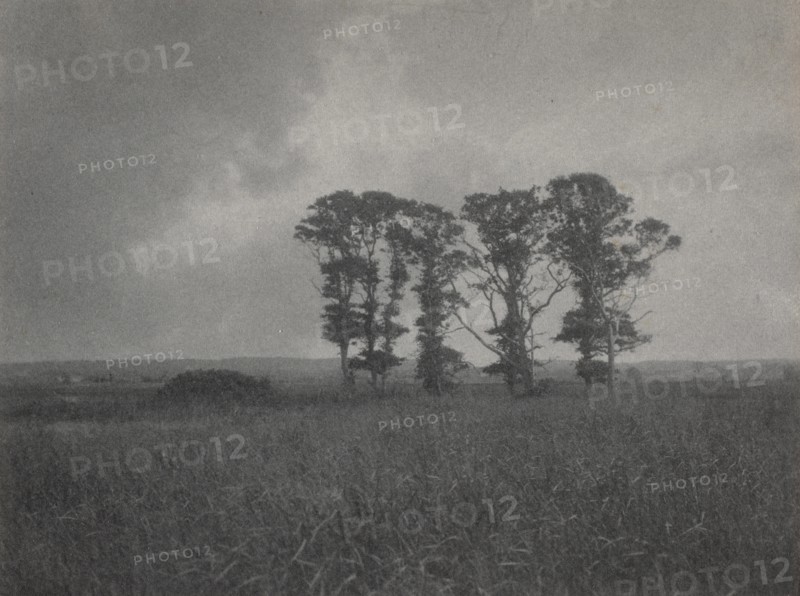 Untitled, c. 1900. Creator: William J. Mullins (American, 1860-1917).