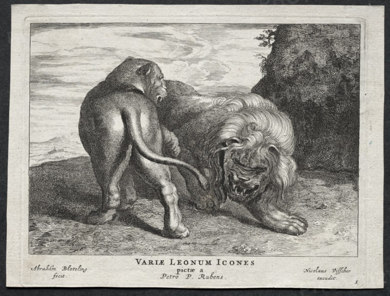 Various Lions. Creator: Abraham Blooteling (Dutch, 1640-1690).