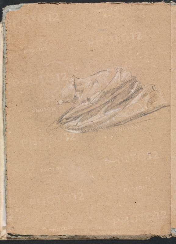 Verona Sketchbook: Head and shoulder with drapery (page 14), 1760. Creator: Francesco Lorenzi (Italian, 1723-1787).