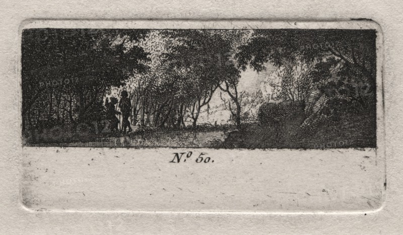 View of a Woods. Creator: Antoine de Marcenay de Ghuy (French, 1724-1811).