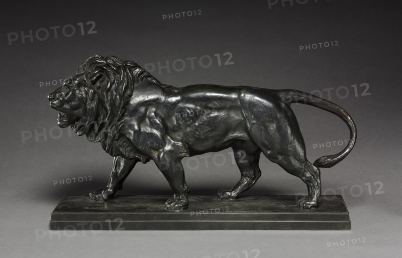 Walking Lion, after 1836. Creator: Antoine-Louis Barye (French, 1796-1875).