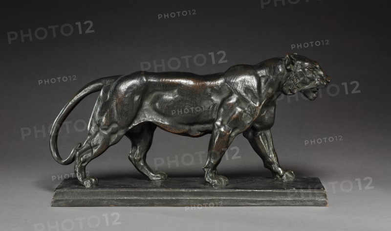 Walking Tiger, c. 1836. Creator: Antoine-Louis Barye (French, 1796-1875).