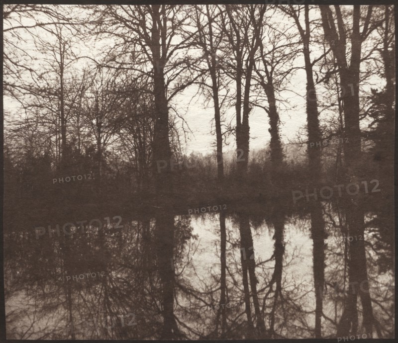 Winter Trees Reflected in a Pond, 1841-42. Creator: William Henry Fox Talbot (British, 1800-1877).