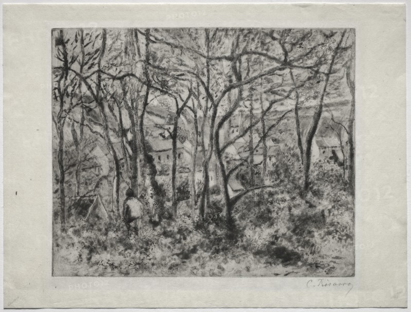Wooded Landscape at LHermitage, Pontoise, 1879. Creator: Camille Pissarro (French, 1830-1903).