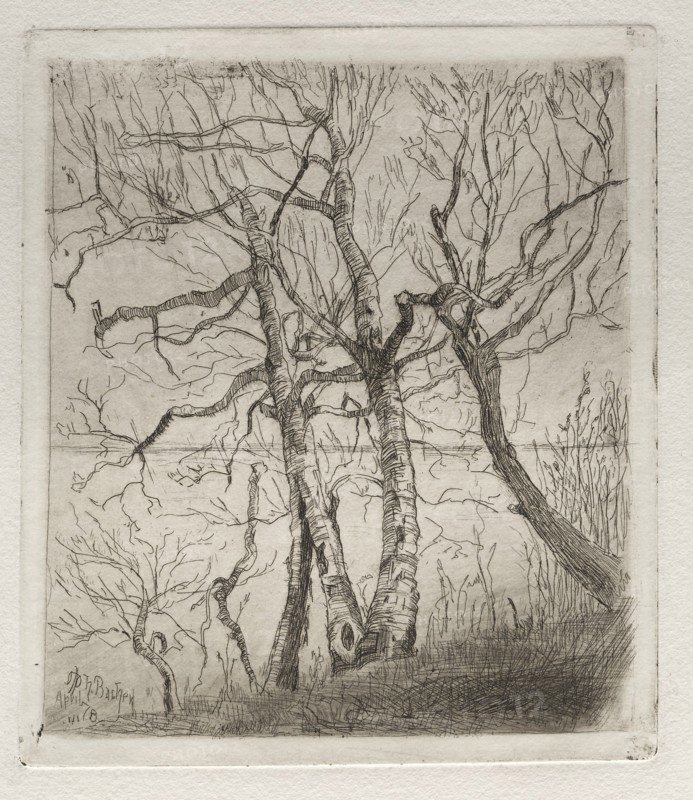 Woods by the Lake, 1878. Creator: Otto H. Bacher (American, 1856-1909).