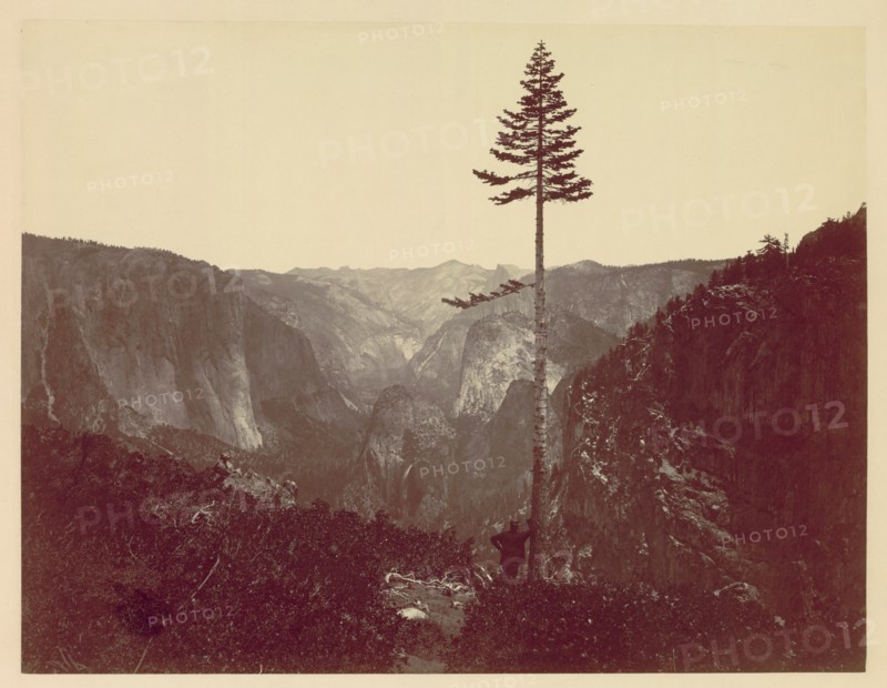 Yosemite Valley from Mariposa Trail, c. 1865. Creator: Charles Leander Weed (American, 1824-1903).