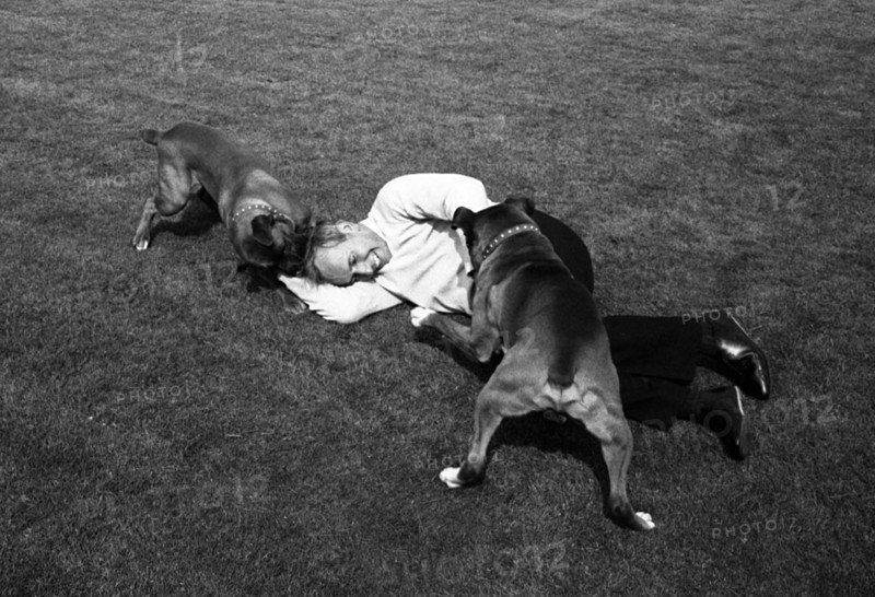 John Surtees playing with his pet dogs at home 1966. Creator: Unknown.