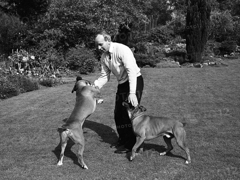 John Surtees playing with his pet dogs at home 1966. Creator: Unknown.