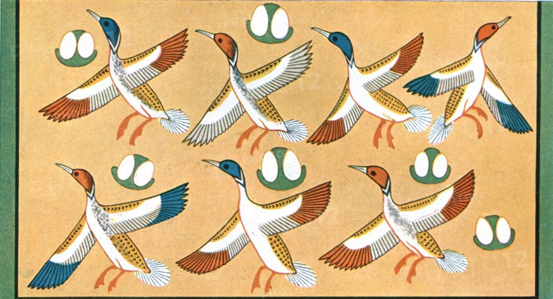 Detail of ceiling painting in the tomb of 'Aichesi', Thebes, Egypt, (1928). Creator: Unknown.