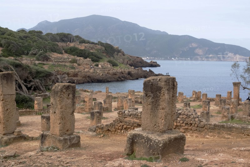 Algeria, Tipasa, Cardo