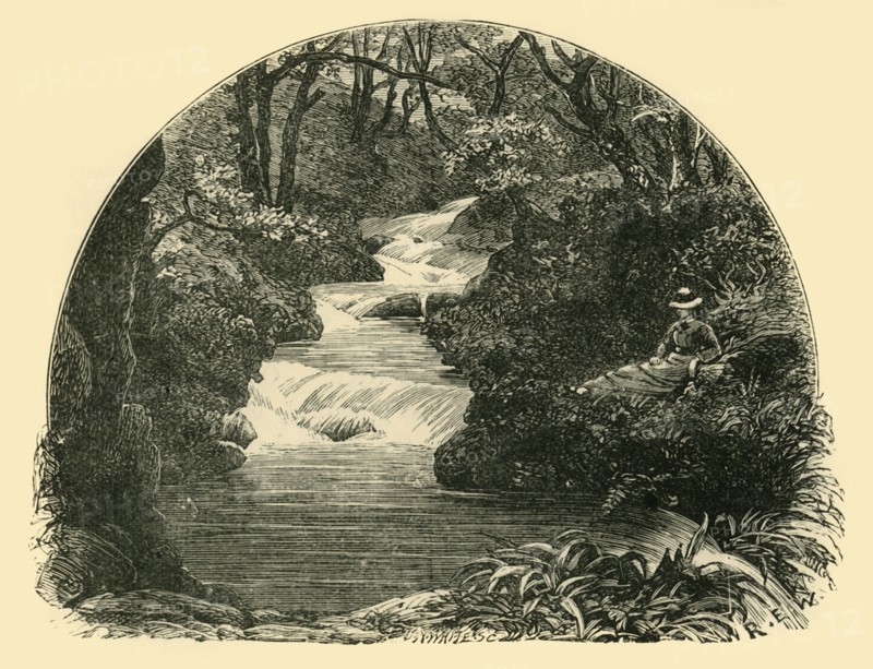 'Bagworthy Waterslide', 1898. Creator: Unknown.