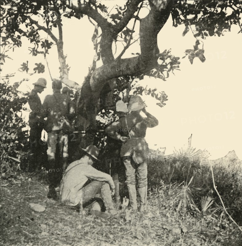 'Tree from which Captain Paget...Saw...San Juan Battle', Spanish-American War, June 1898, (1899). Creator: Burr McIntosh.