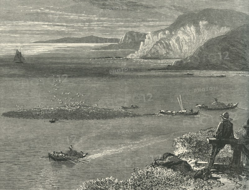 'Pilchard Fishing off the Lizard', c1870.