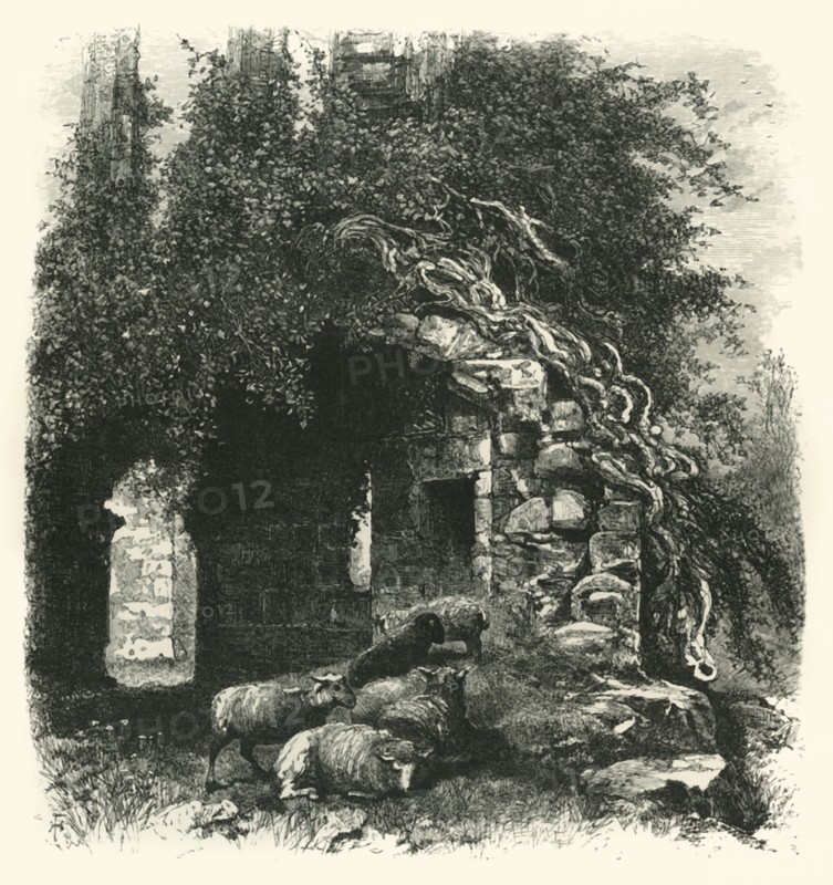 'Archway, Kenilworth Castle', c1870.