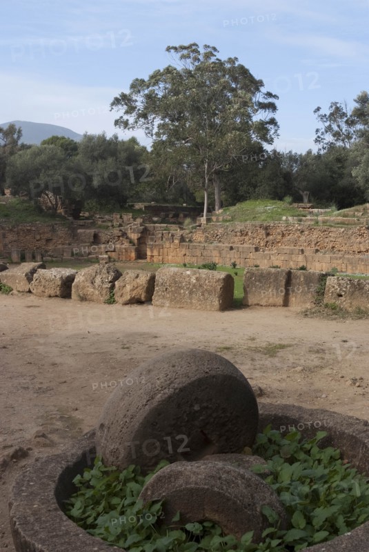 Algeria, Tipasa, Amph, Oil press