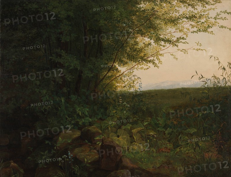 At the Edge of the Forest, ca. 1820. Creator: August Heinrich.