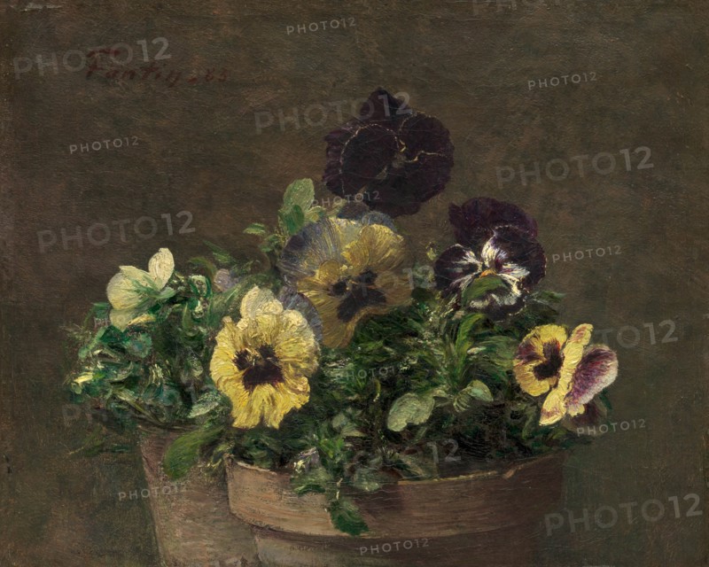 Potted Pansies, 1883. Creator: Henri Fantin-Latour.