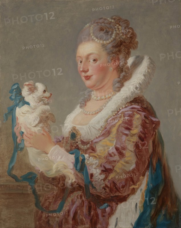 A Woman with a Dog, ca. 1769. Creator: Jean-Honore Fragonard.