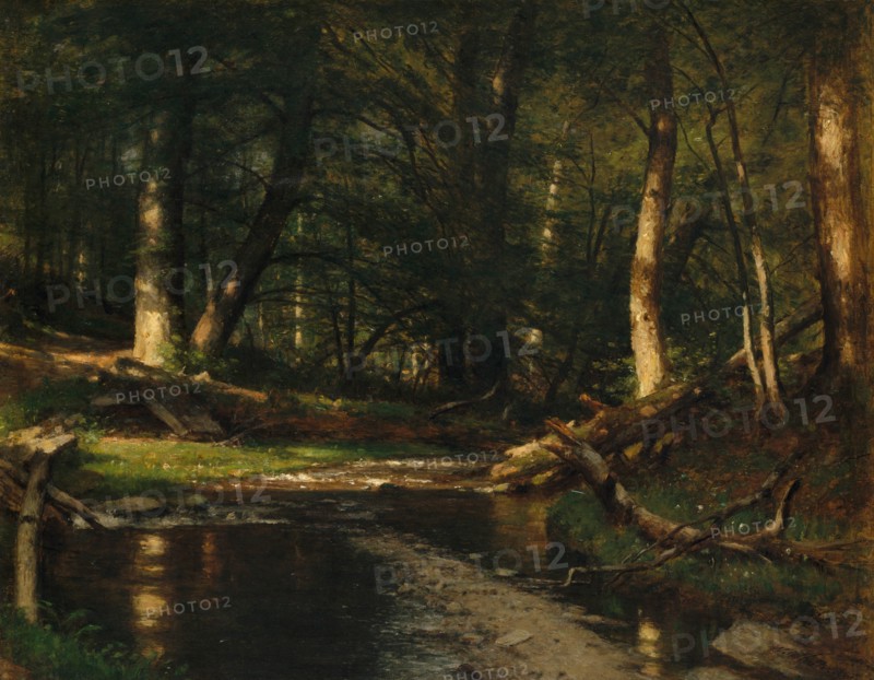 The Brook in the Woods, ca. 1885-86. Creator: Worthington Whittredge.