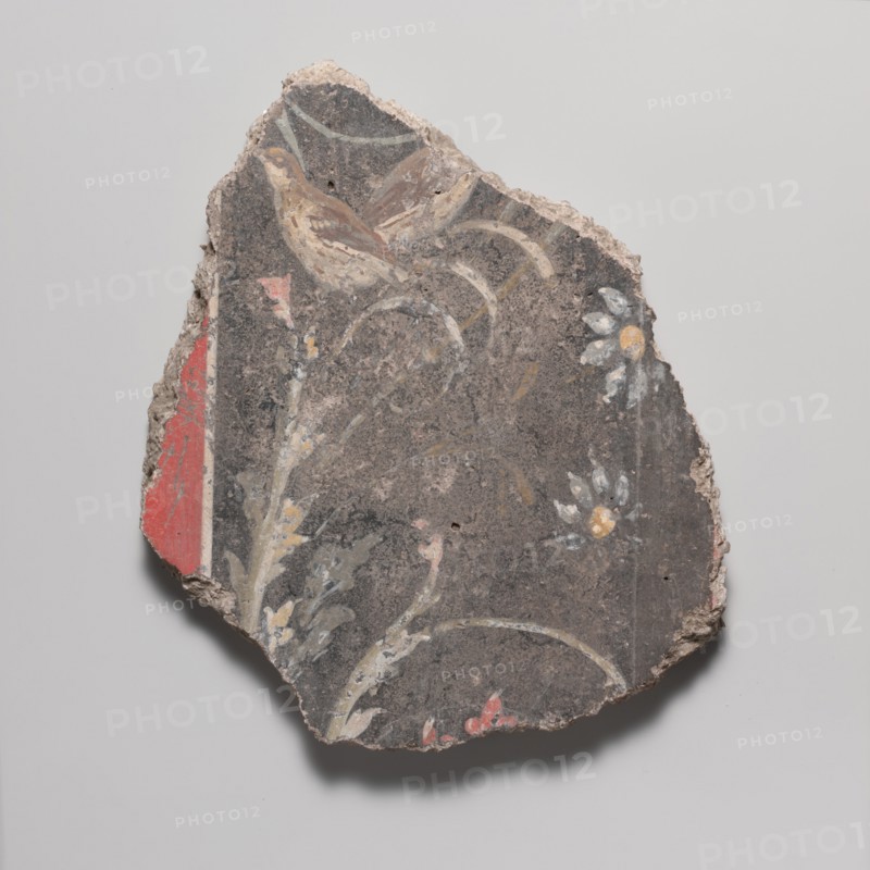 Wall painting fragment, 1st century A.D.. Creator: Unknown.