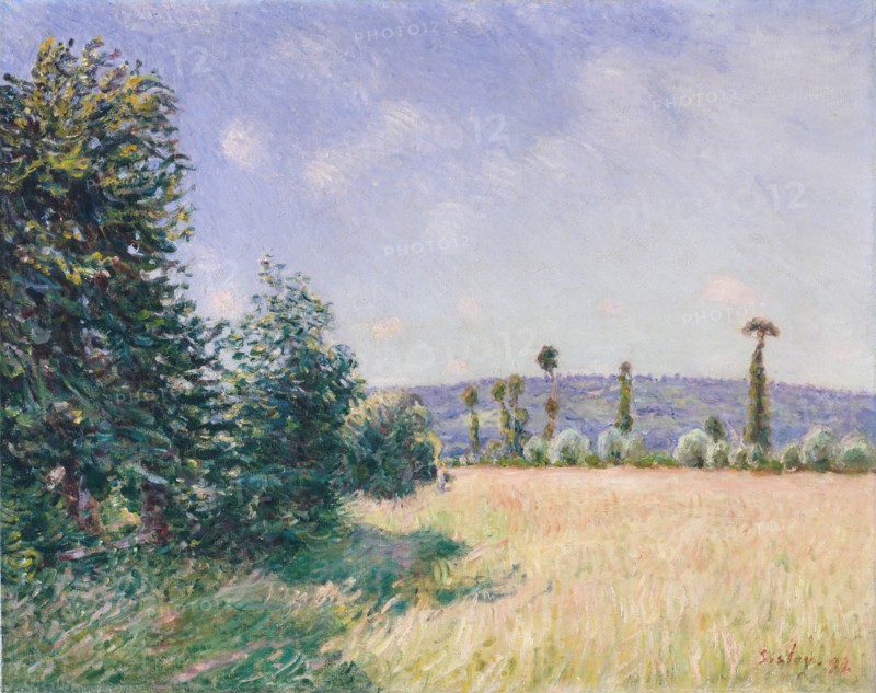 Sahurs Meadows in Morning Sun, 1894. Creator: Alfred Sisley.