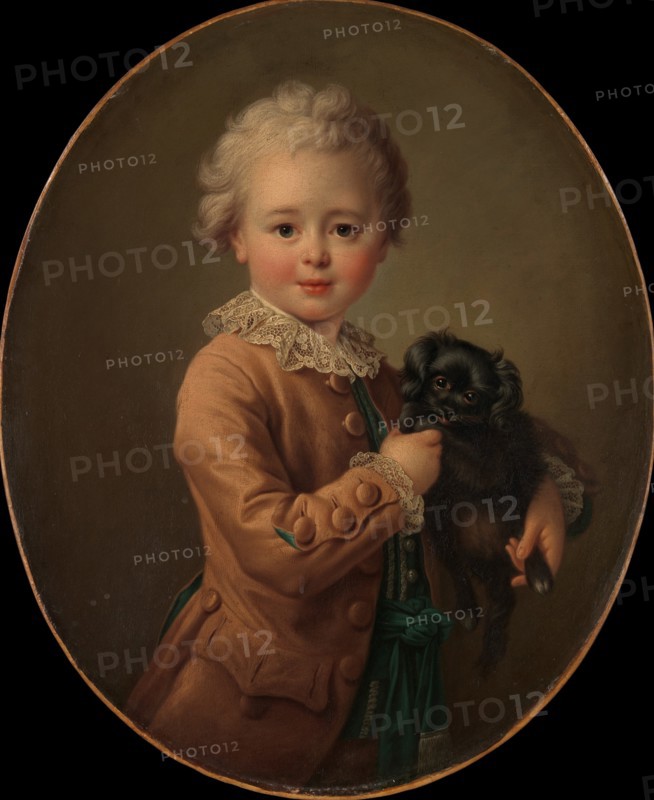 Boy with a Black Spaniel. Creator: Francois Hubert Drouais.