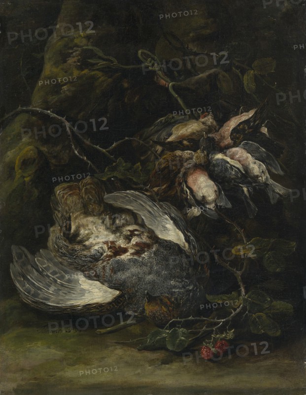 A Partridge and Small Game Birds, 1650s. Creator: Jan Fyt.