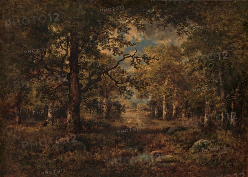 A Vista through Trees: Fontainebleau, 1873. Creator: Narcisse Virgile Diaz de la Pena.