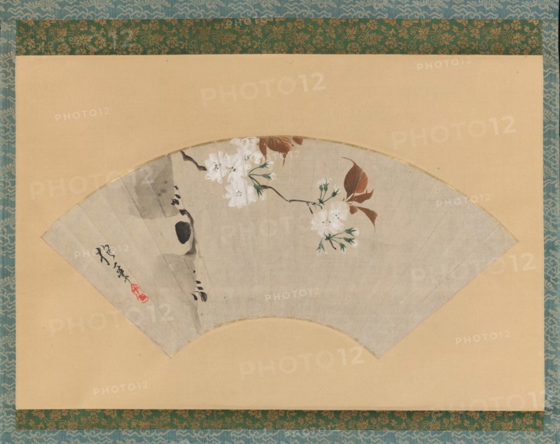 Cherry Blossoms, 18th century. Creator: Sakai Hoitsu.