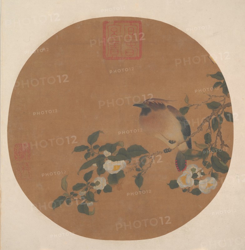 Branch of Tree with Flowers and Bird of Waxwing Family. Creator: Unknown.