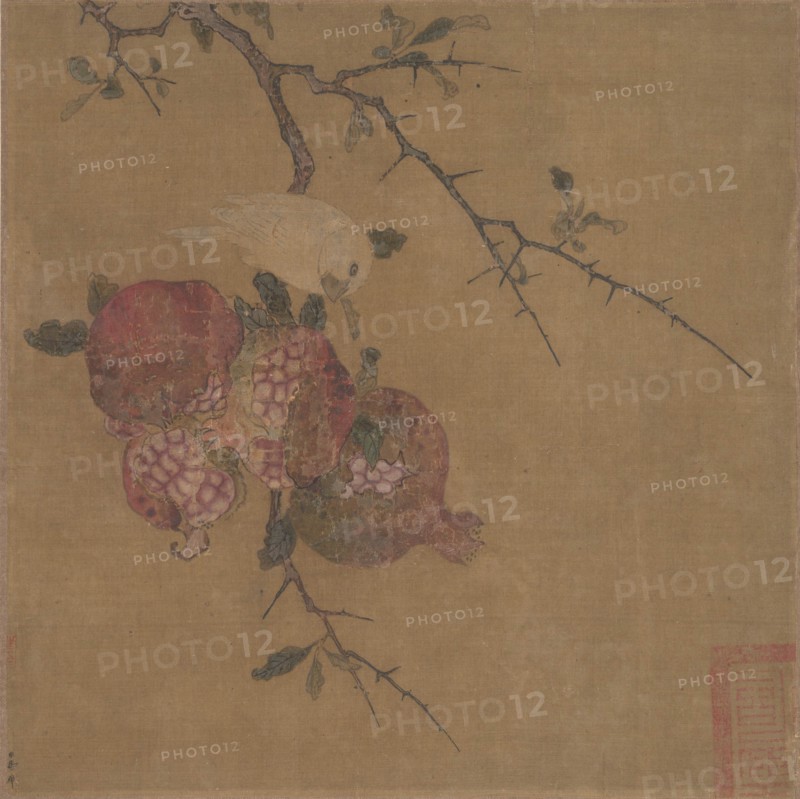 Pomegranates. Creator: Unknown.
