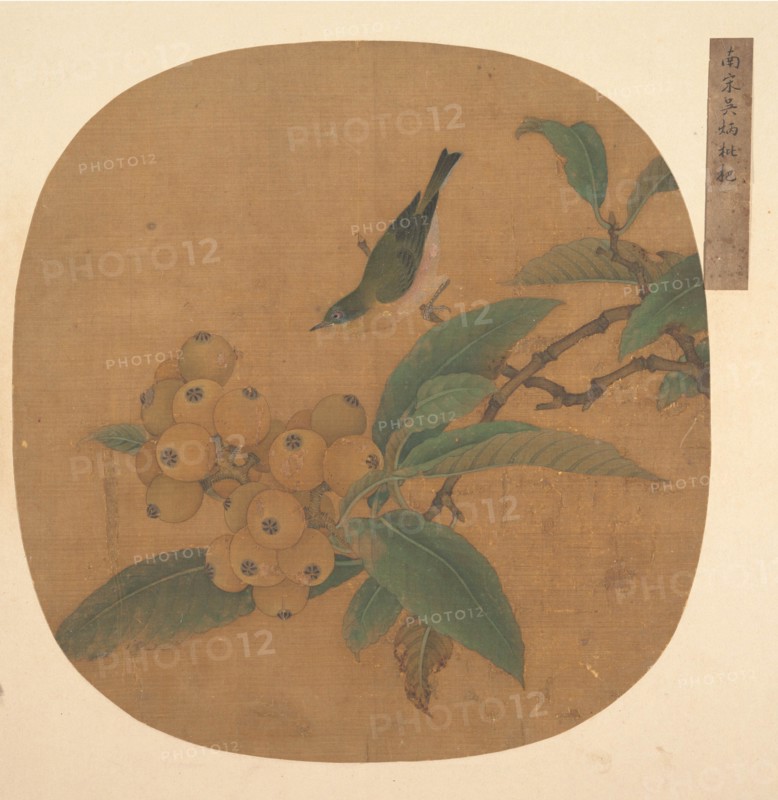 Bird on a Loquat Tree. Creator: Unknown.