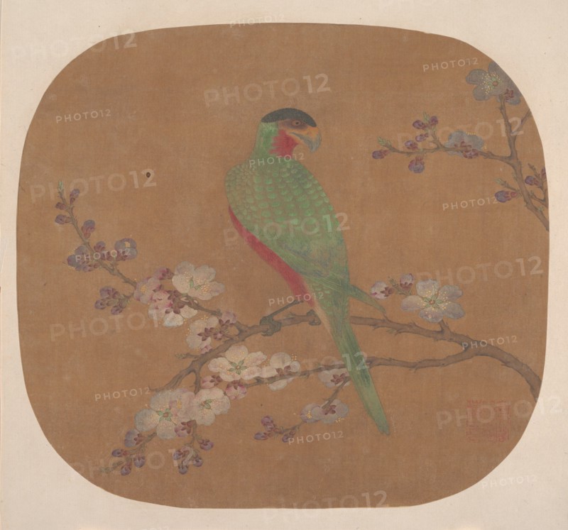 Parrot on Branch of Blossoming Tree. Creator: Unknown.