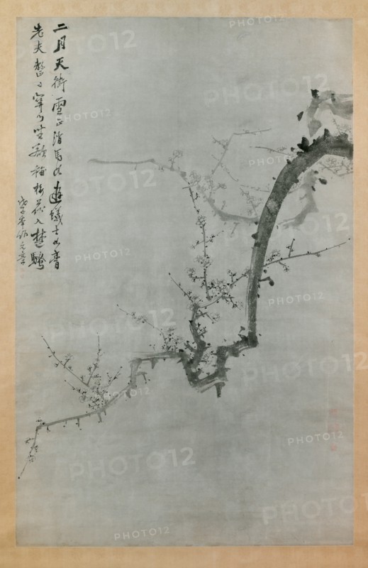 Plum Branch, dated 1888. Creator:  Yi Yuwon.