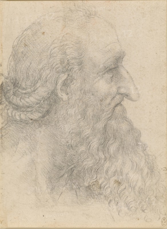The head of an old bearded man , ca 1517. Creator: Leonardo da Vinci (1452-1519).