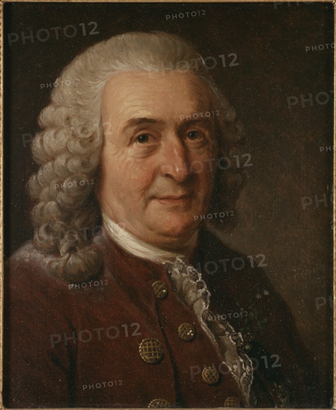 Portrait of Carl Linnaeus (1707-1778), 1827. Creator: Sandberg, Johan Gustaf (1782-1854).