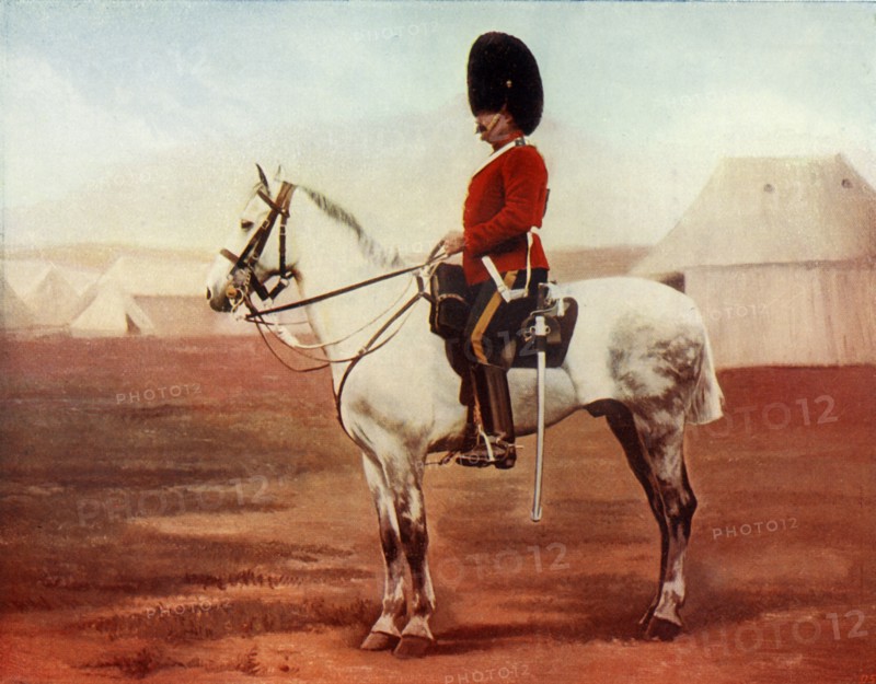 'Sergeant-Major of the 2nd Dragoons. (Royal Scots Greys)', 1900. Creator: Gregory & Co.