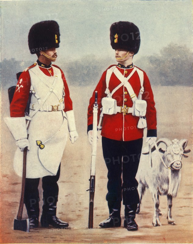 'The Royal Welsh Fusiliers', 1901. Creator: Gregory & Co.