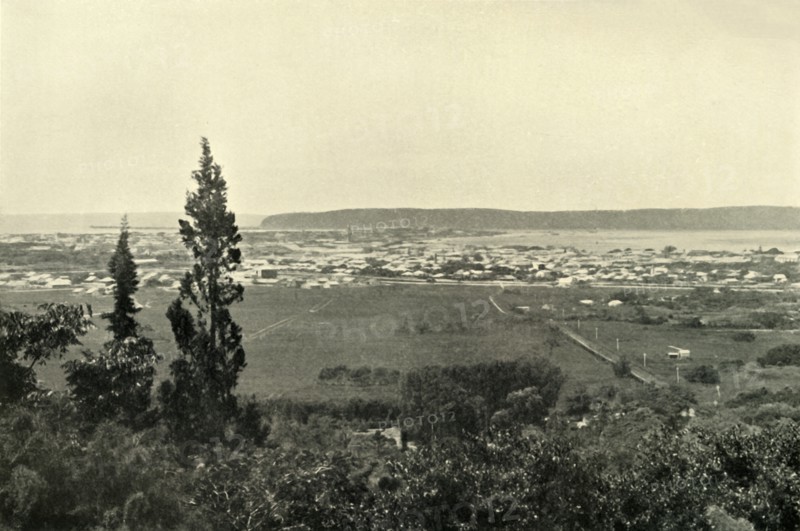 'Durban, Natal', 1901. Creator: Wilson.
