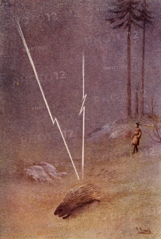 He suddenly assumed the shape of a gigantic porcupine, 1914. Creator: Unknown.
