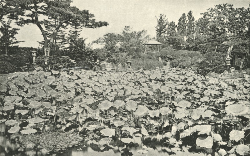 'The Lotus of Buddhism', 1891. Creator: Unknown.
